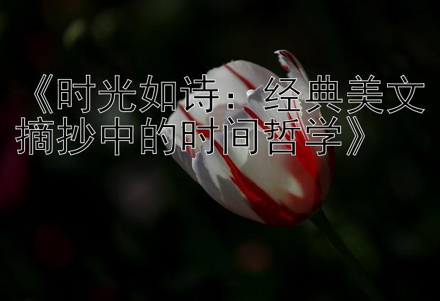 《时光如诗：经典美文摘抄中的时间哲学》